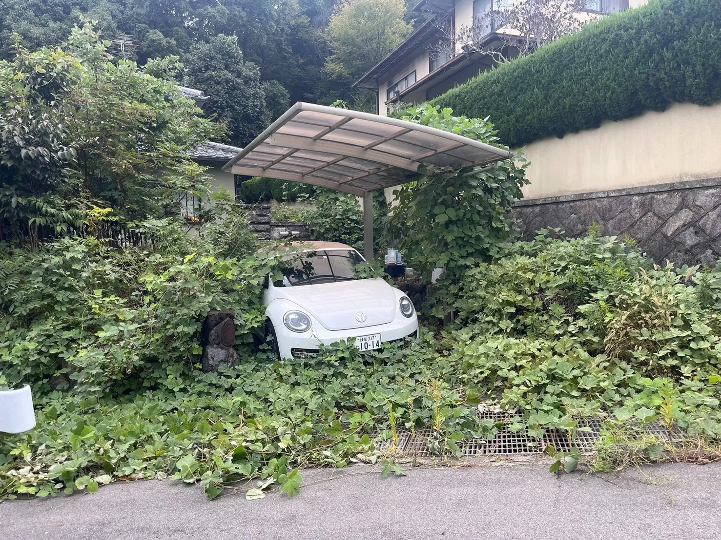 クルマ救出作戦